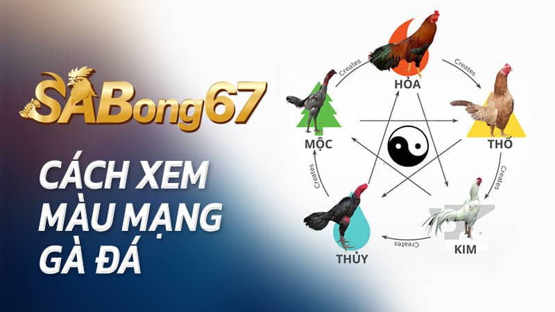 Sabong67 hỗ trợ xem màu mạng gà đá mỗi tuần Sabong67 hỗ trợ xem màu mạng gà đá mỗi tuần