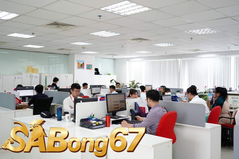Công ty Sabong67 có quy mô tổ chức chuyên nghiệp Công ty Sabong67 có quy mô tổ chức chuyên nghiệp