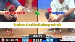 TRẬN 21 CPC2 12/4/2026