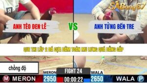 TRẬN 24 CPC2 24/4/2026