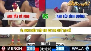 TRẬN 5 CPC2 30/4/2026