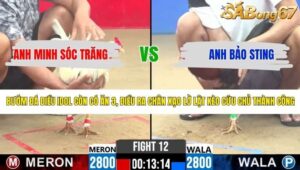 TRẬN 12 CPC2 6/5/2026