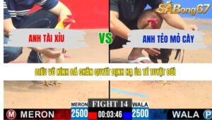 TRẬN 14 CPC3 14/5/2026