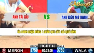 TRẬN 16 CPC3 14/5/2026