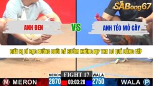 TRẬN 17 CPC3 14/5/2026