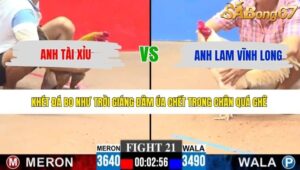 TRẬN 21 CPC3 14/5/2026