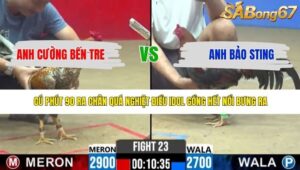 TRẬN 23 CPC2 6/5/2026