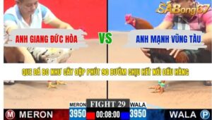 TRẬN 29 CPC3 14/5/2026