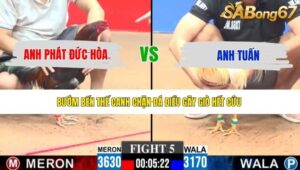 TRẬN 5 CPC3 14/5/2026