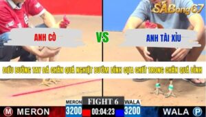 TRẬN 6 CPC3 14/5/2026