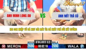 TRẬN 12 CPC3 11/5/2026