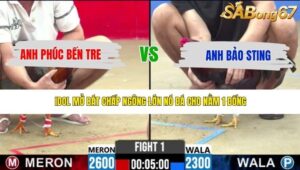 TRẬN 1 CPC2 8/5/2026