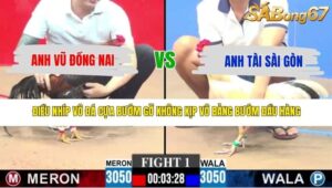 TRẬN 1 CPC3 11/5/2026