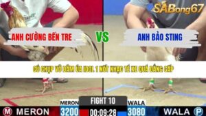 TRẬN 10 CPC2 1/5/2026