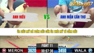TRẬN 11 CPC2 1/5/2026