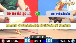 TRẬN 11 CPC3 10/5/2026