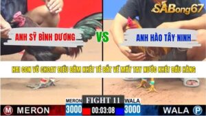 TRẬN 11 CPC3 11/5/2026