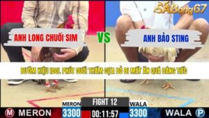 TRẬN 12 CPC2 13/5/2026