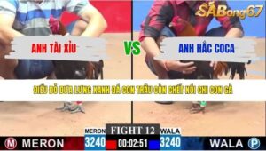 TRẬN 12 CPC3 4/5/2026