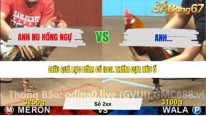 TRẬN 12 CPC4 12/5/2026