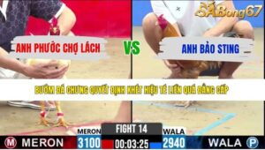 TRẬN 14 CPC2 13/5/2026