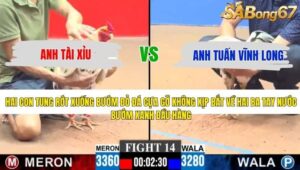 TRẬN 14 CPC3 11/5/2026