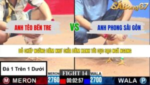 TRẬN 14 CPC3 16/5/2026