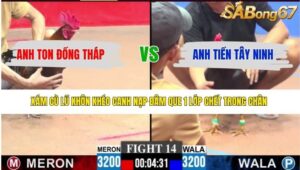 TRẬN 14 CPC3 2/5/2026