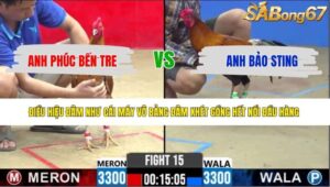 TRẬN 15 CPC2 15/5/2026