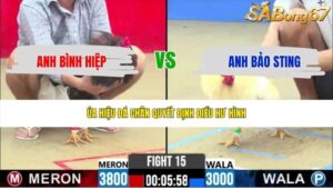 TRẬN 15 CPC2 19/5/2026