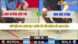 TRẬN 15 CPC2 8/5/2026
