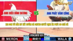 TRẬN 15 CPC3 10/5/2026