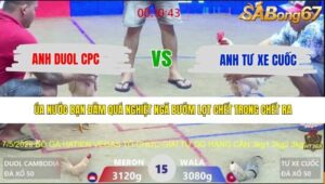 TRẬN 15 XÀ XÍA 7/5/2026