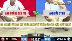 TRẬN 16 CPC2 15/5/2026