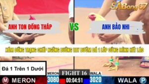 TRẬN 16 CPC3 2/5/2026