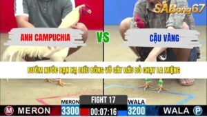TRẬN 17 CPC2 11/5/2026