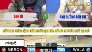 TRẬN 17 CPC2 9/5/2026