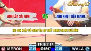 TRẬN 17 CPC3 3/5/2026