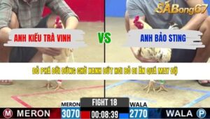 TRẬN 18 CPC2 1/5/2026