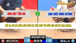 TRẬN 18 CPC3 10/5/2026