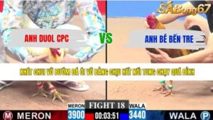 TRẬN 18 CPC3 11/5/2026