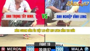 TRẬN 19 CPC2 12/5/2026