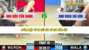 TRẬN 19 CPC2 15/5/2026