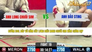 TRẬN 19 CPC2 20/5/2026