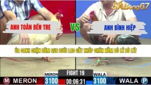 TRẬN 19 CPC2 9/5/2026