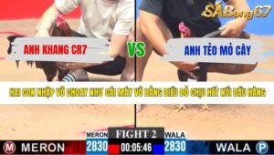 TRẬN 2 CPC3 10/5/2026