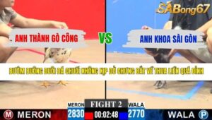 TRẬN 2 CPC3 11/5/2026