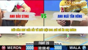 TRẬN 20 CPC2 15/5/2026