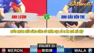 TRẬN 21 CPC3 3/5/2026