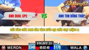 TRẬN 21 CPC3 4/5/2026